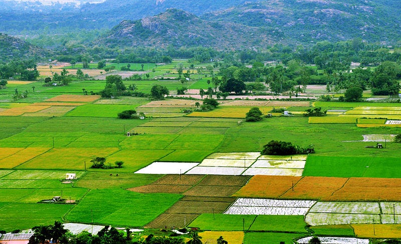 /3.5 Marla 
                Land For  Sale in Kurukshetra}