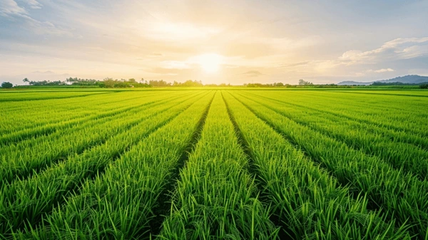 /6 Marla 
                Land For  Sale in Kurukshetra}